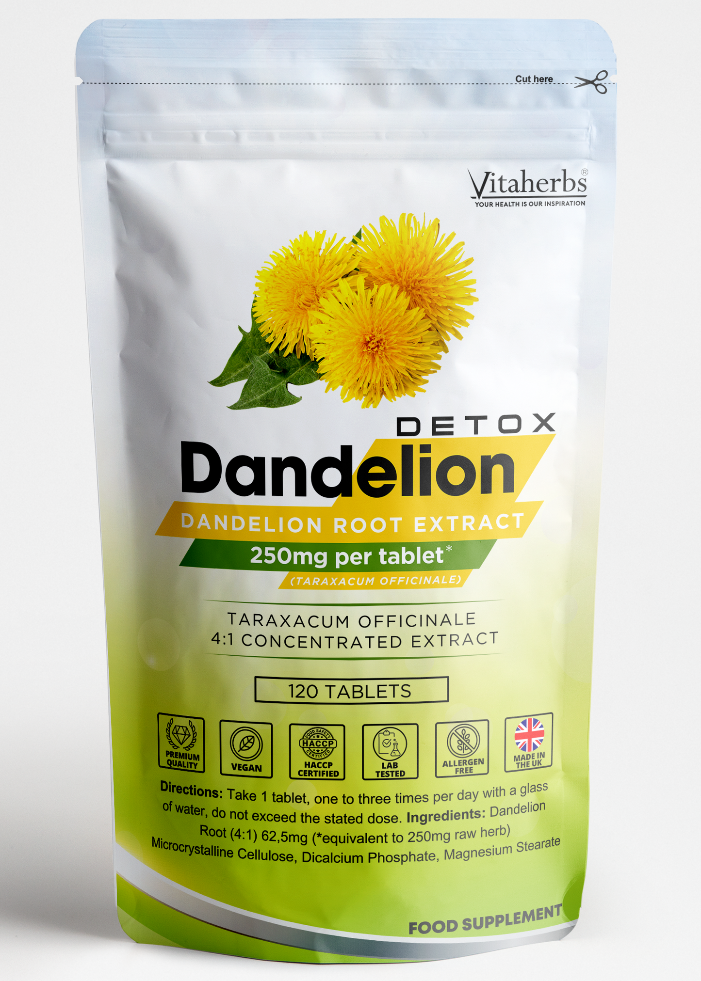 Mniszek Lekarski Korzeń | Detox Dandelion